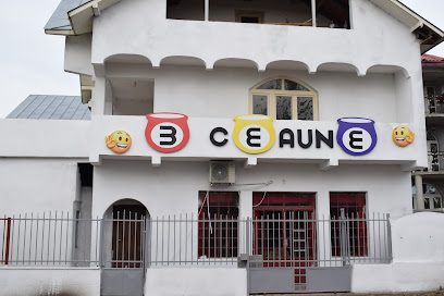 3 Ceaune Strada Mihai Bravu
