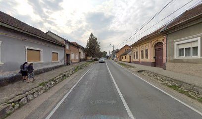 Ana Modern Strada Mihail Gașpar