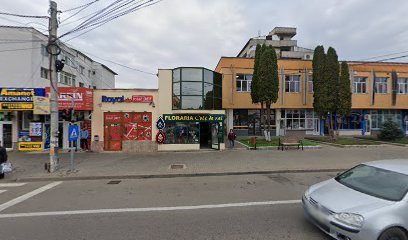 Anusca Pascani Strada Gării