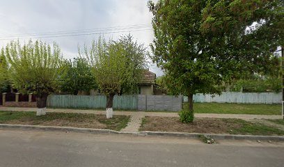Aparatul minune DN24A 355