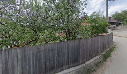 BAR ELMA Scărișoara 517680