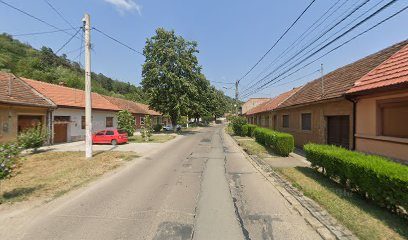 Banatenii din clisura Strada Nicolae Bălcescu