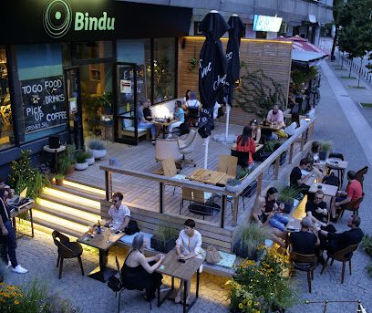 Bindu Strada Ion C. Brătianu 36
