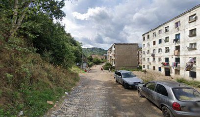 Brigi brigitta Strada Mociur