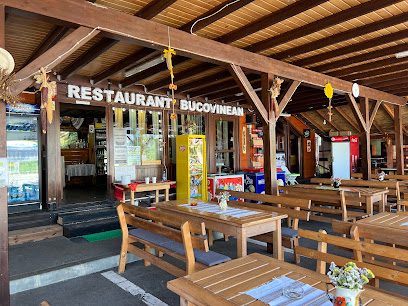 Bucovinean Aleea Piatra Pinului