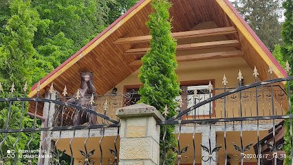 Cabana Bradul Slănic Moldova