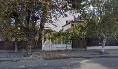 Capriciu Str. Stefan cel Mare si Sfânt