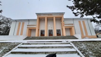 Casa De Cultură 'Ion Creangă' Berești Berești 805100