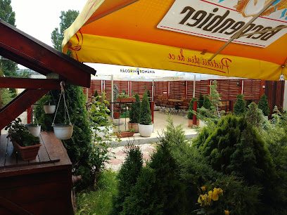 Casa Prahoveană DN1A 35