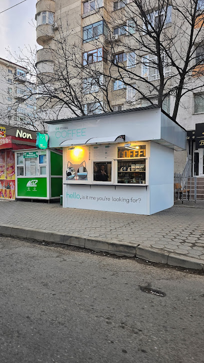 Ce Miau coffee to go Zimbru