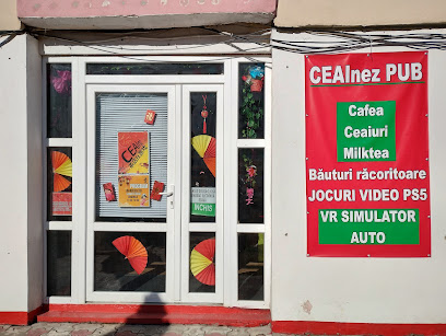 Ceainiz Pub Strada Gheorghe Pătrașcu NR 46