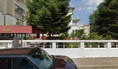 Ciubusor Strada Negustori 25