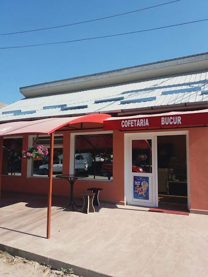 Cofetaria Bucur Strada Carol Davila 1