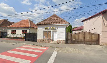Dip & Gip 505800 Zărnești