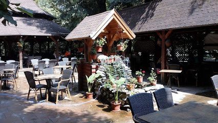 Doina Gorjului Parc Central