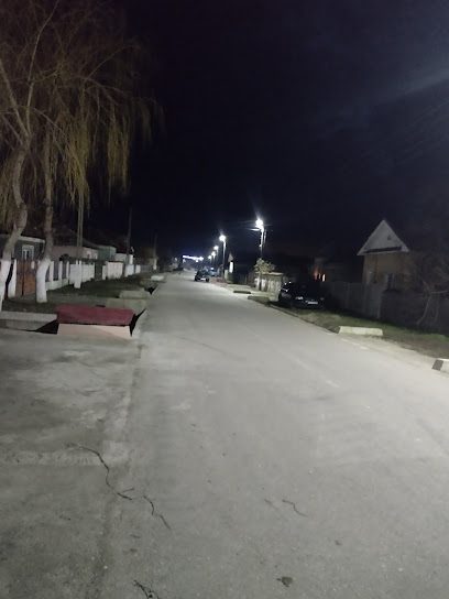 Domo Strada Republicii