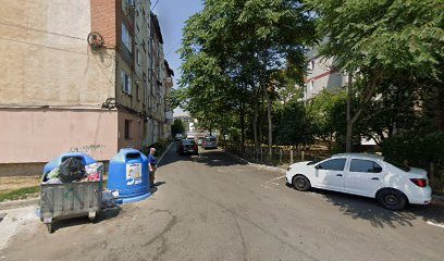 Dumbrava Bulevardul Ecaterina Teodoroiu 53-35
