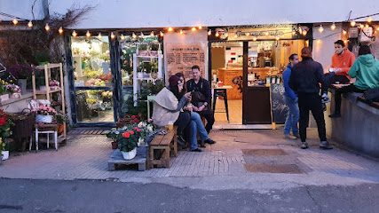 Garage Café Specialty Coffee Strada Barbu Delavrancea 7
