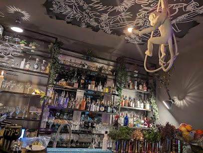 Ginoteca Strada Plantelor 25