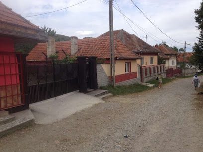 IF Lupulescu Uric 337358