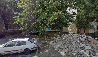 Iuli Ciobanu Strada Armeniș 10