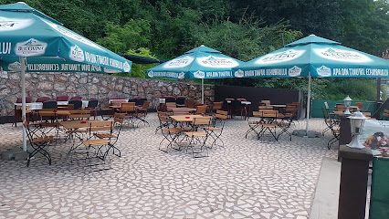 Izvorul Cetatii Calea Zarandului