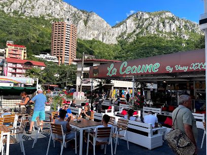 La Ceaune Baile Herculane Strada Castanilor