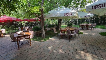 La Colt Strada Avram Iancu 15