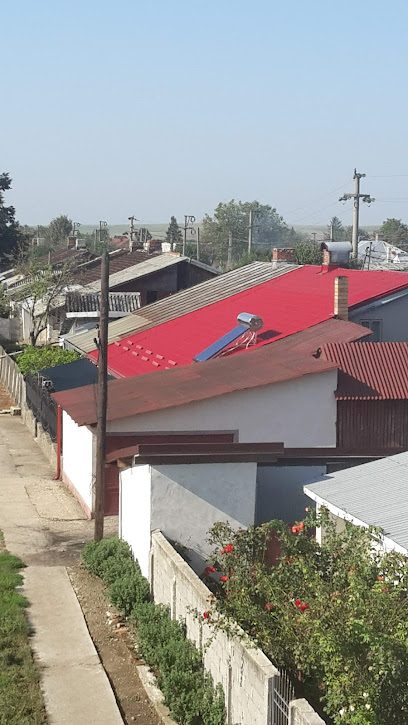 La Pisicuta Strada Cireşului 5