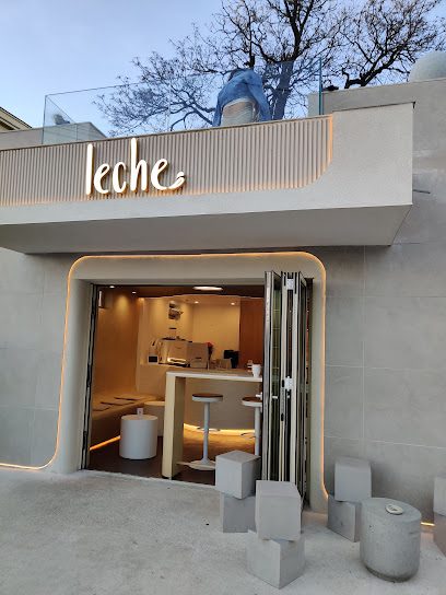 Leche Strada Vasile Conta 28