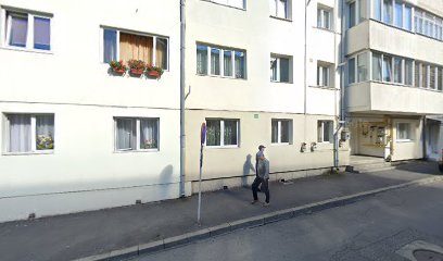 Lemon park Strada Badea Cârțan 15