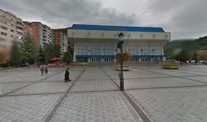 MEMENTO PAS Piața 1 Decembrie 1918 5