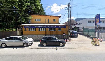Mioveni Str. Mărăști 4