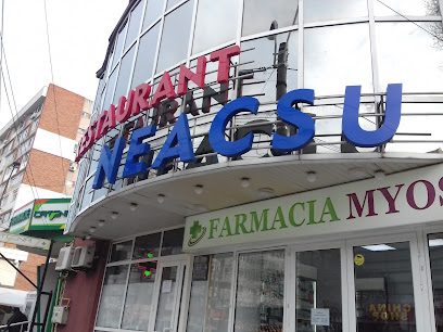 Neacşu Strada Brăilei