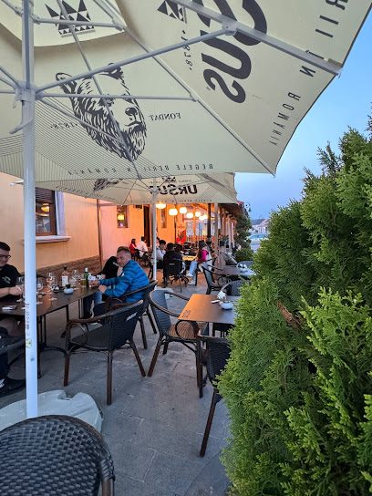 Orașul de Sub Munte Strada Ion Metianu 17