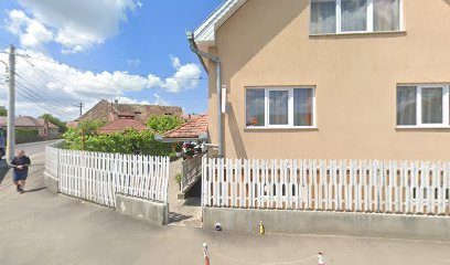 Orgona Strada Kriza János 50