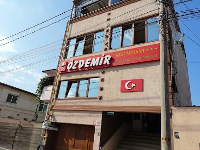 Öz Demir Strada Labirint 16