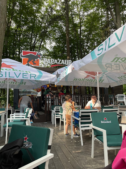 Papazaur Strada Cetății