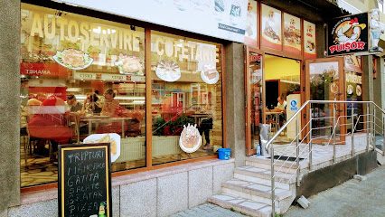 Puisor Str. Albești 34