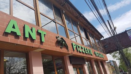 Restaurant Si Cazare Iguana Strada Isaccei