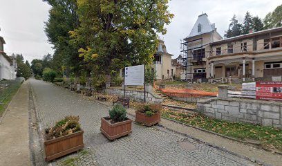 Restaurat Faget Aleea 7 Izvoare 15