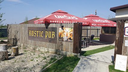 Rustic Pub Grădiștea DJ101 4