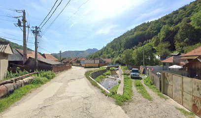 Sc Crisana Zlatna Srl Strada Valea Morilor