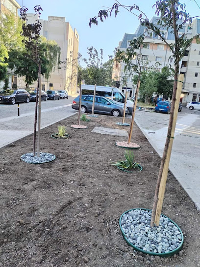 Sofrone Mihai Intreprindere Individuală Strada Eugen Stamate