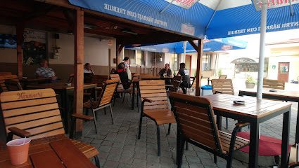 Statia Veche Arad