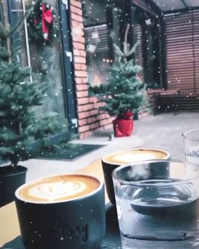 Story Strada 1 Decembrie 34