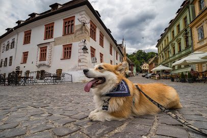 Szarvasház Piața Cetății