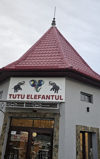 TUTUELEFANTU Strada Cloșca 31