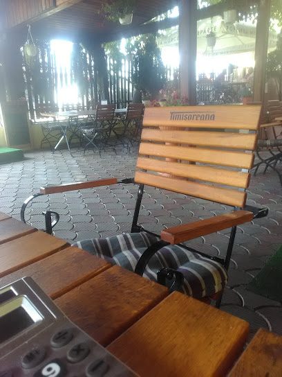 Taverna La Călin Ady si Maria Dimitrie Bolintineanu 34