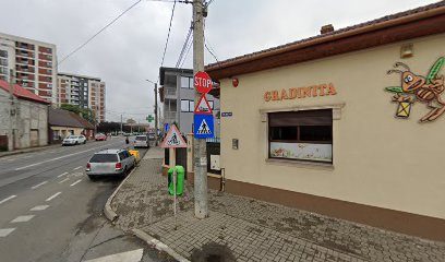 Terasa Cocorilor Strada Bucegi 2